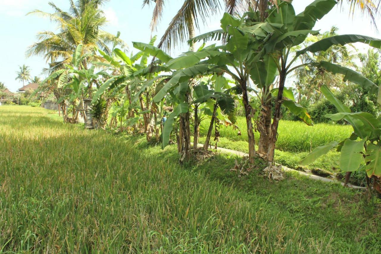 Ubud River Campuhan Villa מראה חיצוני תמונה