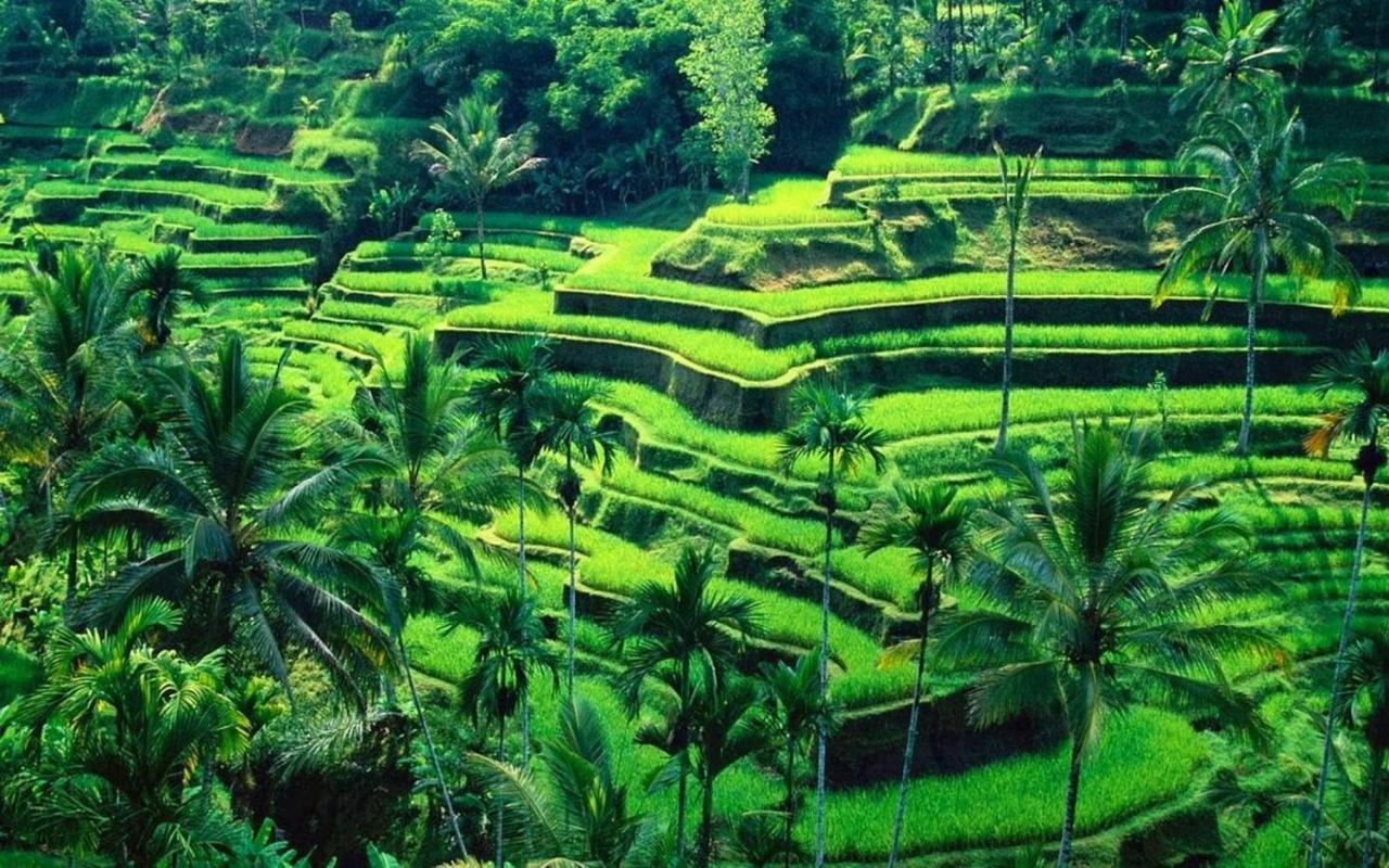 Ubud River Campuhan Villa מראה חיצוני תמונה
